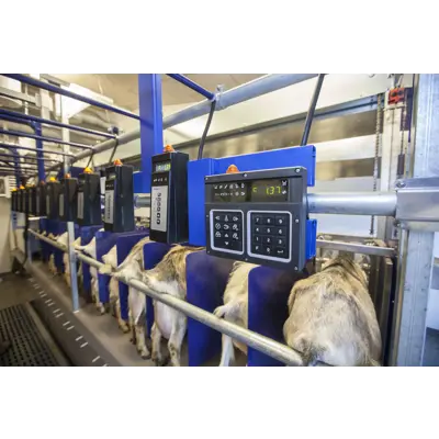Parallellstall til geit, bilde 6