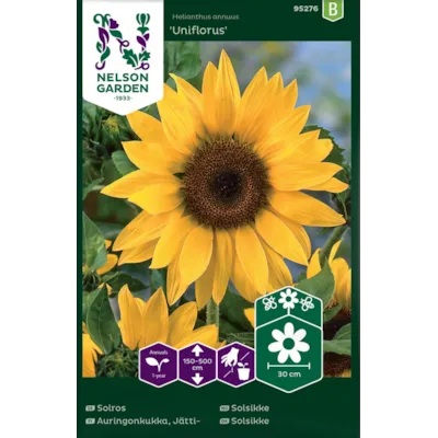 Frø solsikke Uniflorus