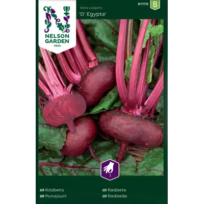 Frø rødbete D'Egypte       