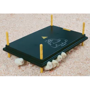 Kyllingmor Olba 40x60 cm