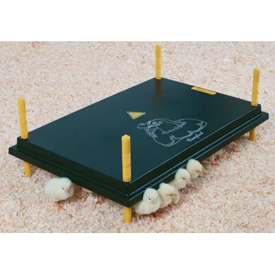 Kyllingmor Olba 40x60 cm