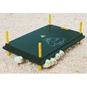 Kyllingmor Olba 40x60 cm