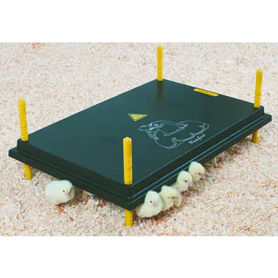 Kyllingmor Olba 40x60 cm