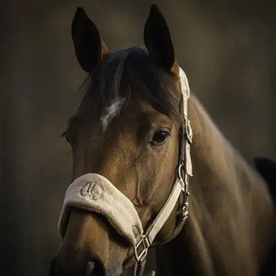 Grime med fleece beige, bilde 4