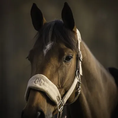 Grime med fleece beige, bilde 4