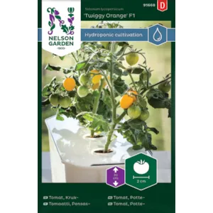 Frø pottetomat Twiggy Orange Harvy