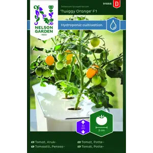 Frø pottetomat Twiggy Orange Harvy