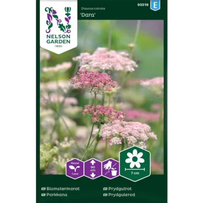 Frø prydgulrot Dara