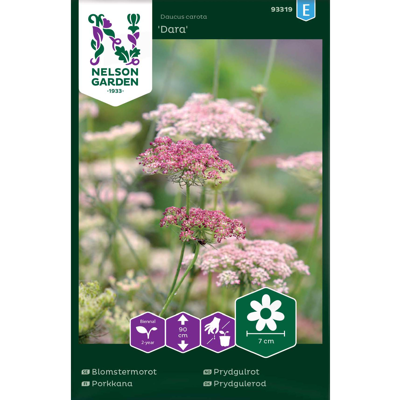 Frø prydgulrot Dara