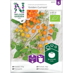 Frø tomat høy Golden Currant økologisk