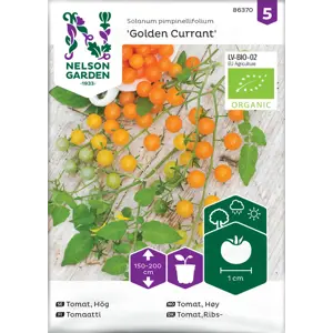 Frø tomat høy Golden Currant økologisk
