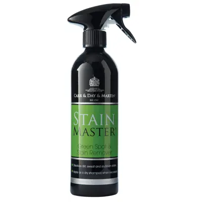 Stain Master Spray 500 ml