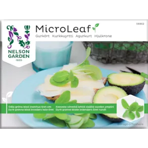 Frø agurkurt MicroLeaf