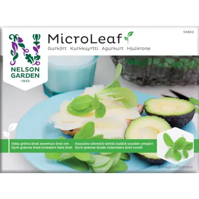 Frø agurkurt MicroLeaf
