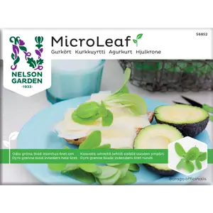 Frø agurkurt MicroLeaf