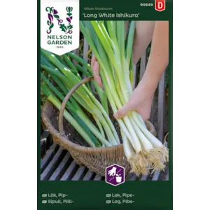 Frø pipeløk Long White Ishikura