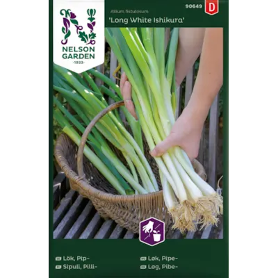 Frø pipeløk Long White Ishikura