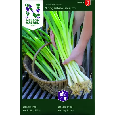 Frø pipeløk Long White Ishikura