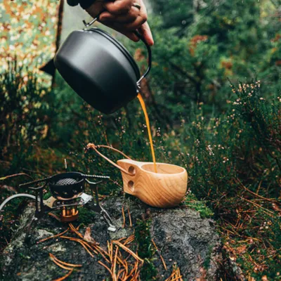 Turkopp i tre, bilde 5