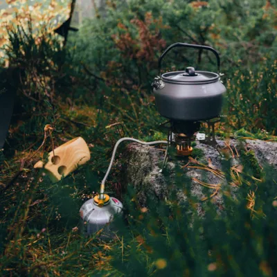 Turkopp i tre, bilde 6