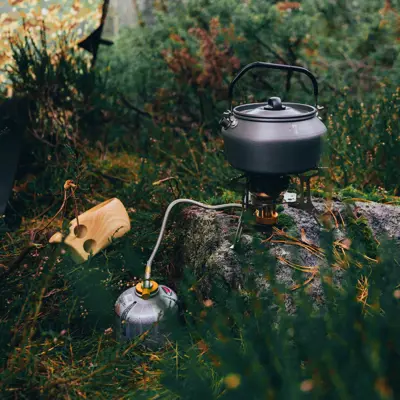 Turkopp i tre, bilde 6