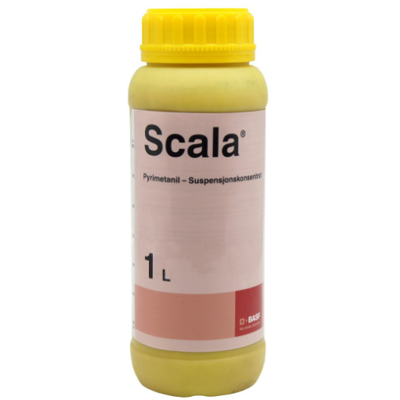 Scala 1 L