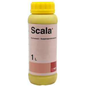 Scala 1 L