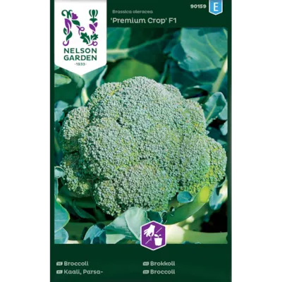 Frø brokkoli Premium Crop
