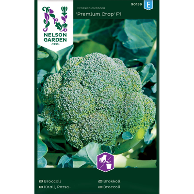 Frø brokkoli Premium Crop