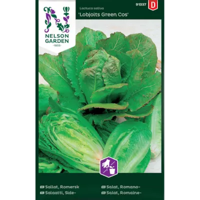 Frø romanosalat Lobjoits Green Cos