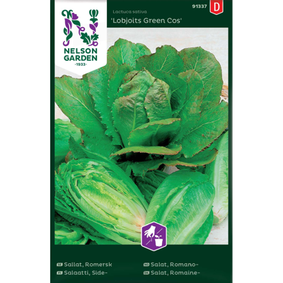 Frø romanosalat Lobjoits Green Cos