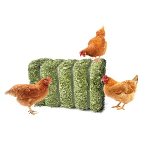 Lucerne GT Øko 20 kg