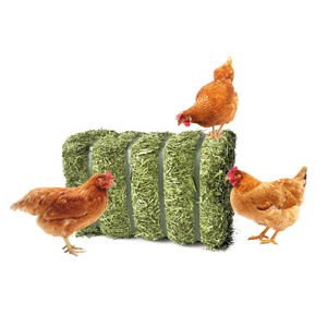 Lucerne GT Øko 20 kg