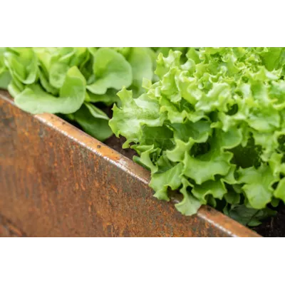 Pallekarm metall 120x 80 cm, bilde 3