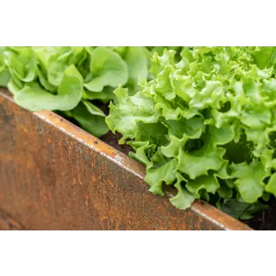 Pallekarm metall 120x 80 cm, bilde 3