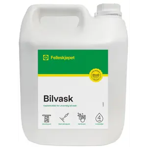 Bilvask 4 L