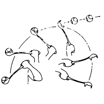 Tennisball-kaster med ball, bilde 2