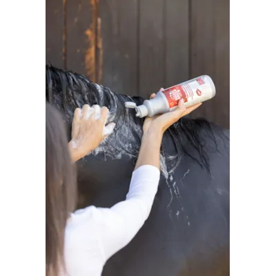 Shampoo French Kiss 500 ml, bilde 2