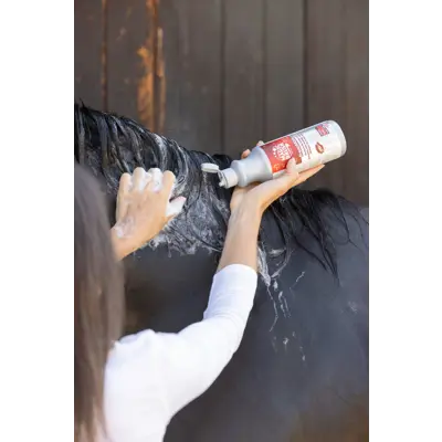 Shampoo French Kiss 500 ml, bilde 2