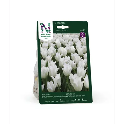 Høstløk tulipan Suomi 100