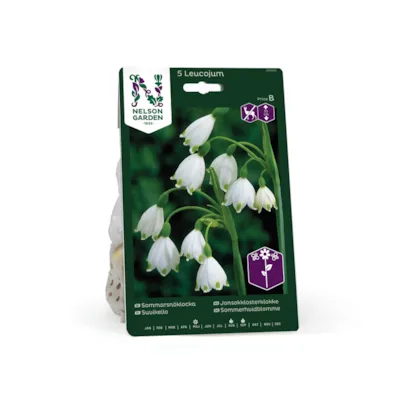 Høstløk jonsokklosterklokke