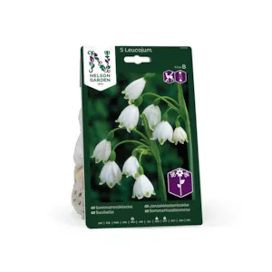 Høstløk jonsokklosterklokke