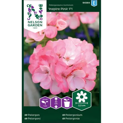 Frø pelargonium Inspire Pink