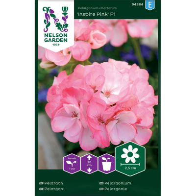 Frø pelargonium Inspire Pink