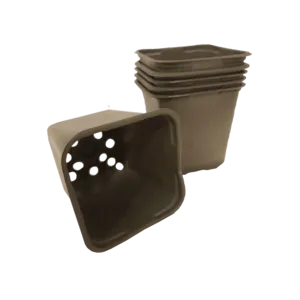 PlantePotte 8 cm firkantet 15 stk