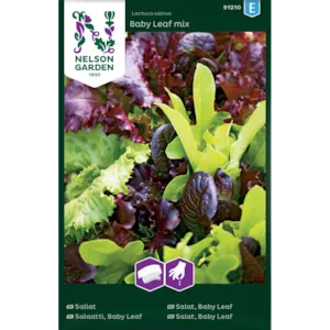 Frø salat Baby Leaf mix såbånd