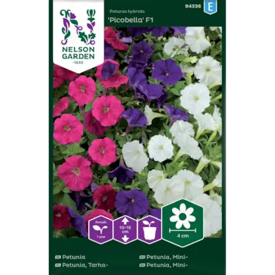 Frø minipetunia Picobella