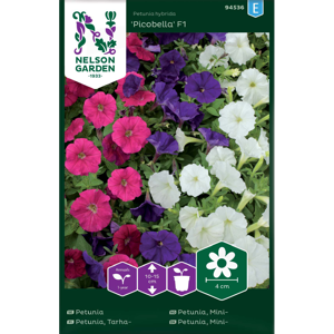 Frø minipetunia Picobella