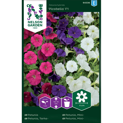 Frø minipetunia Picobella