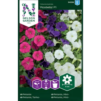 Frø minipetunia Picobella, bilde 2